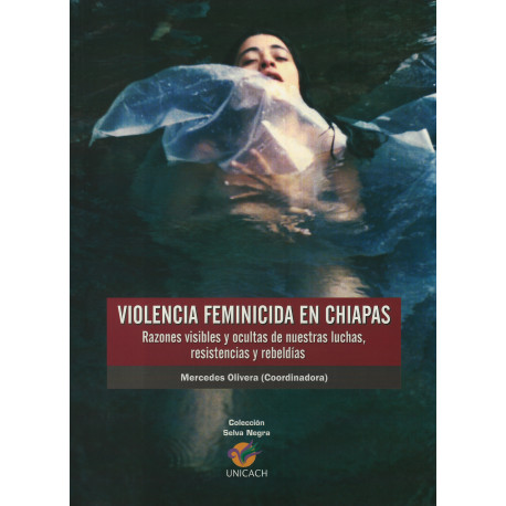 VIOLENCIA FEMINICIDA EN CHIAPAS Razones visibles y ocultas de nuestras luchas, resistencias y rebeldías